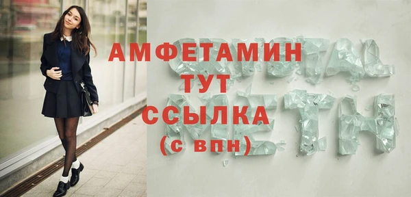 тгк Пересвет
