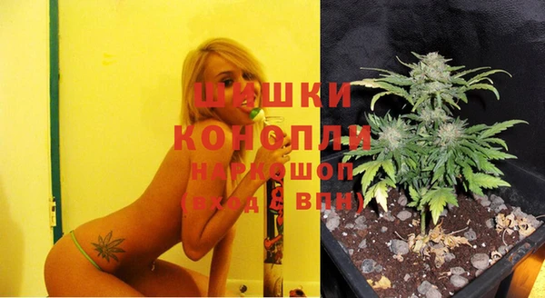 тгк Пересвет