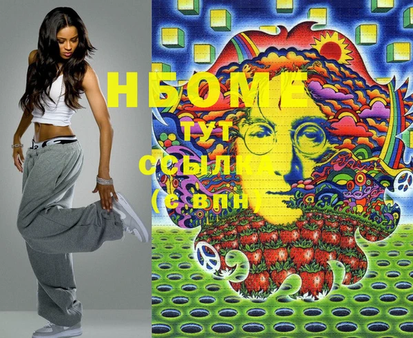 тгк Пересвет