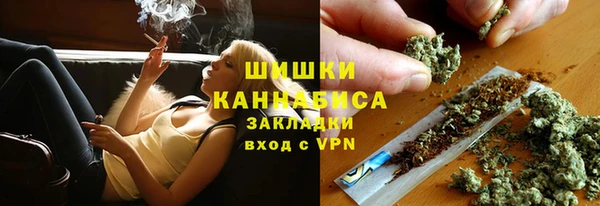 сатива Бугульма