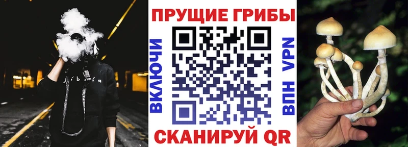 Псилоцибиновые грибы ЛСД  Звенигово 