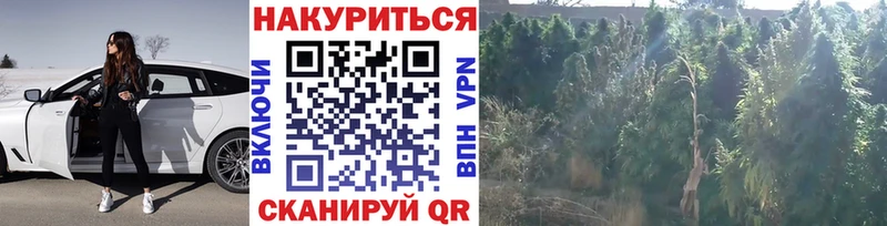 Бошки Шишки AK-47 Звенигово